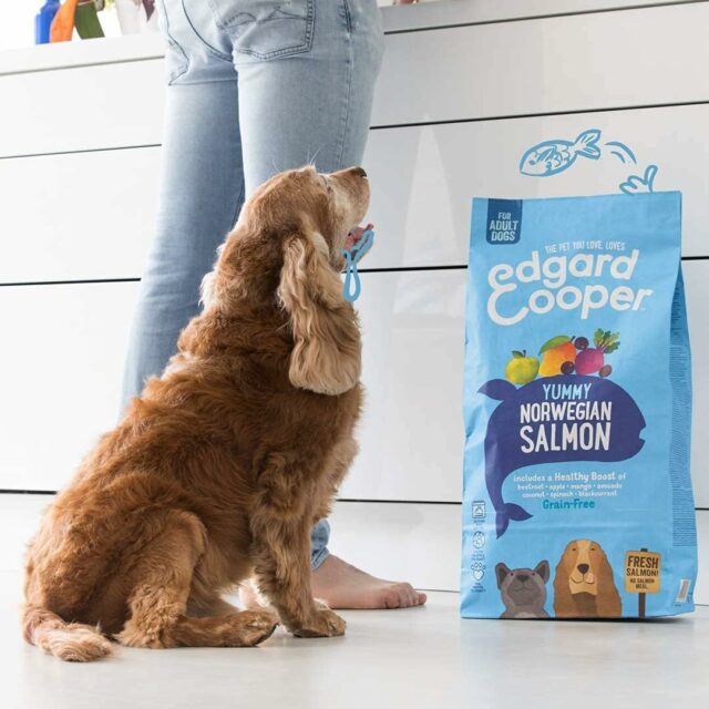 Edgard & Cooper Croquettes Chien Adulte sans Cereales Nourriture Naturelle 12kg Saumon Frais Hypoallergénique, Alimentation Saine savoureuse et équilibrée, Protéines de qualité – Image 2