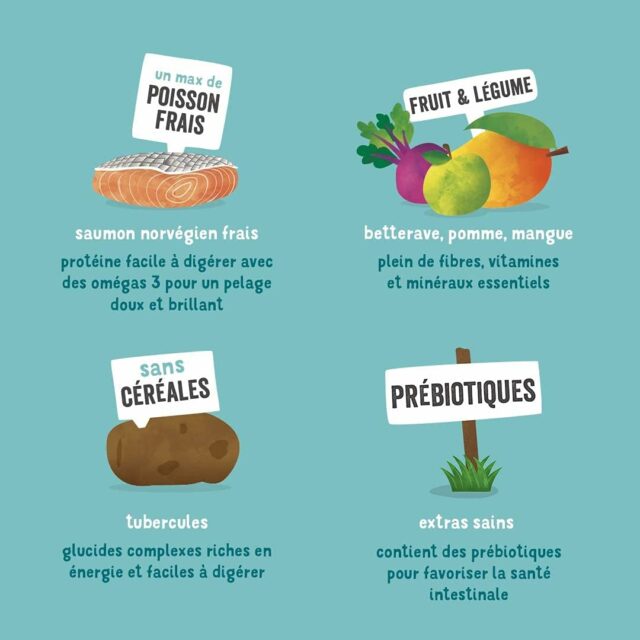Edgard & Cooper Croquettes Chien Adulte sans Cereales Nourriture Naturelle 12kg Saumon Frais Hypoallergénique, Alimentation Saine savoureuse et équilibrée, Protéines de qualité – Image 4