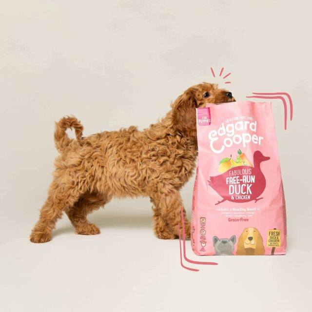 Edgard & Cooper Croquettes Chien Chiot Junior sans Cereales Nourriture Naturelle 12kg Canard & Poulet Frais, Alimentation Saine savoureuse et équilibrée, Protéines de qualité – Image 2