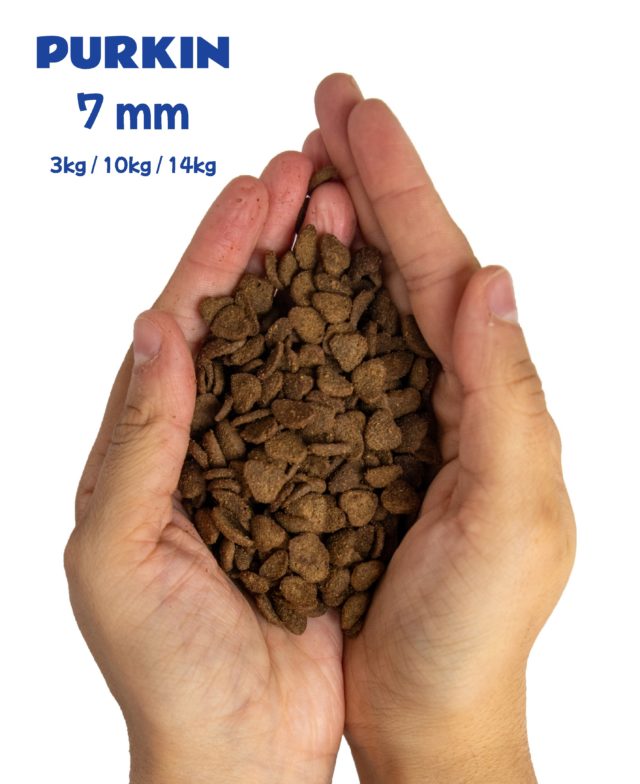 PURKIN Croquettes Premium sans Céréales Chat au Poulet 10kg. Made in France – Image 3