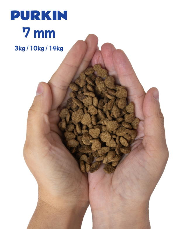 PURKIN Croquette Complète Chat Supérieure au Poulet 10kg. Made in France – Image 2